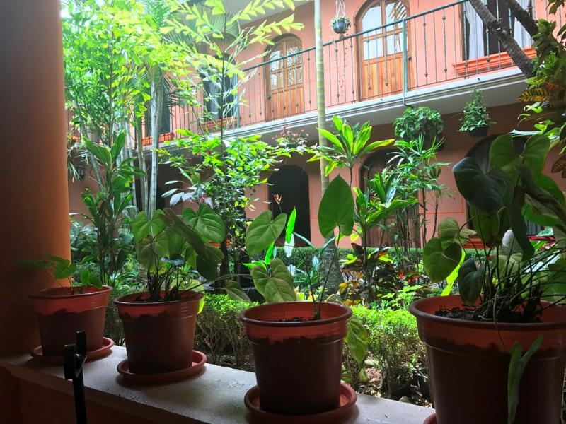 Hotel Posada San Jeronimo Coatepec  Extérieur photo